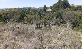Imagem 4: Terreno à venda, 1184 m² por R$ 120.000 - Vila Chantal - Campos do Jordão/SP