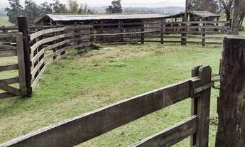 Imagem: Chácara 10 hectares