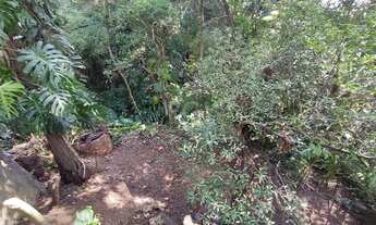 Imagem 3: Porto Alegre - Terreno Padrão - Nonoai