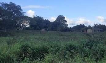 Imagem 2: Porto Alegre - Terreno Padrão - Lami