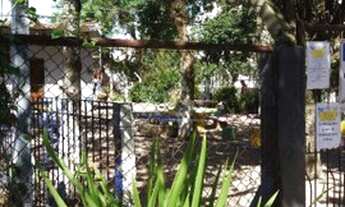 Imagem 7: Porto Alegre - Apartamento Padrão - Camaquã