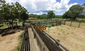Imagem 4: Fazenda 34alq em Monte Alegre/GO - Pecuária e Piscicultura