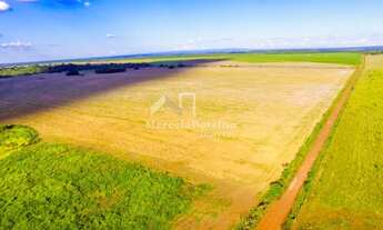 Imagem 4: Fazenda em Rosário Oeste-MT - Dupla Aptidão