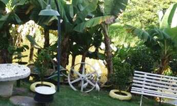 Imagem 6: Santa Rita jacutinga( MG