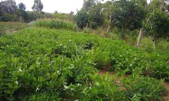 Imagem 5: Viamão - Sítio - Passo da Areia