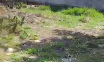 Imagem 2: Terreno a 100 metros da praia *14