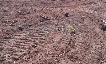 Imagem 5: Fazenda 1600 hectares ribeirao cascalheira