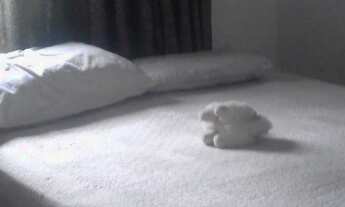 Imagem 5: Vendo lindo sobrado