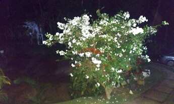 Imagem 6: Sitio em Caeté Fazenda / sítio com venda por R$850.000