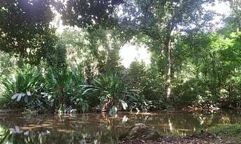 Imagem 6: Casa à venda 5 quartos, sala com lareira, jardim , próximo a cachoeira e variado comércio