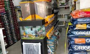 Imagem 4: Passo Ponto Pet Shop