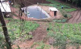 Imagem 2: Sítio à venda em Vieira, Teresópolis cod:ST00007