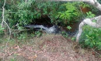 Imagem 4: Fazenda 10 hectares jardim ABC