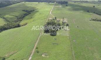 Imagem 5: Fazenda no Pará - Tomé-Açu - 798 ha (165 alq