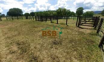 Imagem 7: Fazenda 34alq em Monte Alegre/GO - Pecuária e Piscicultura