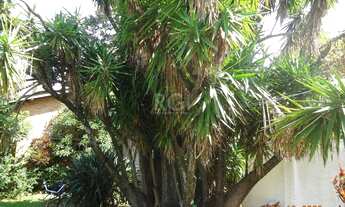 Imagem 10: Porto Alegre - Casa Padrão - Medianeira