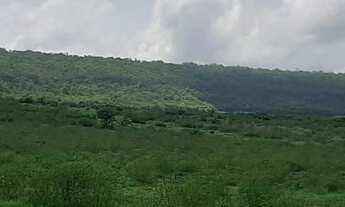 Imagem 5: Fazenda a venda próximo de Catalão com entrada facilitada