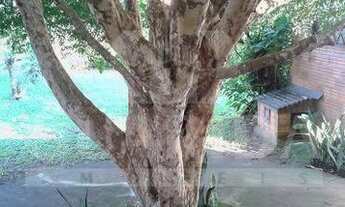 Imagem 5: Casa para comprar no bairro Centro - Esteio com 2 quartos