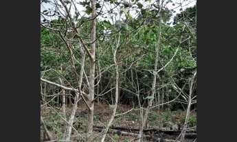 Imagem 3: Vendo terreno Terreno / lote com venda por R$7.500