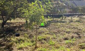 Imagem 2: LAGOA SANTA - Terreno Padrão - Alto Do Joá
