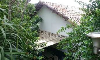 Imagem 4: Vendo casa independente com pomar em Búzios, 1600 m² de terreno, a 500m da praia Ferradura