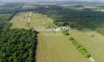 Imagem: Fazenda no Pará - Castanhal - 633 ha (131