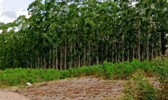 Imagem 3: Lote/Terreno para venda possui 1000 metros quadrados em Igaratá - SP