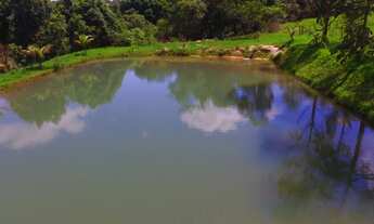 Imagem 3: Sítio para venda com 7.5 alqueires a 33 km de Uberlândia