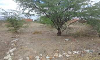 Imagem 6: Terreno no rodeadouro