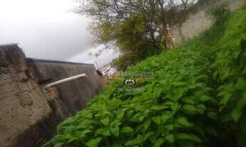 Imagem 3: Terreno à venda, 250 m² por R$ 450.000,00 - Jardim Vila Formosa - São Paulo/SP