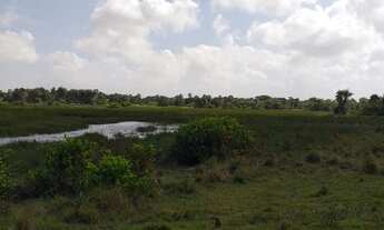 Imagem 5: Sítios em barreirinhas 5.000 mt2 parcelados