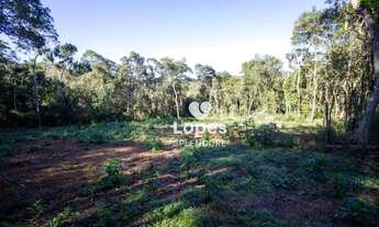 Imagem 5: Terreno à venda, 16850 m² por R$ 650.000,00 - Centro (Canguera) - São Roque/SP