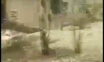 Imagem 3: Vende-se Chácara em Pardinho/SP