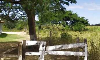Imagem 2: FAZENDA DE 315 HECTARES(65 ALQ) EM ÁGUA FRIA DE GOIÁS