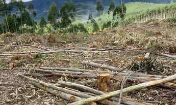 Imagem: Bairro tranquilo g