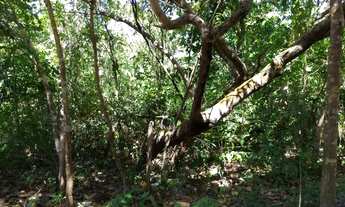 Imagem 4: 02 lotes na beira do lago Canabrava em Minaçú-GO