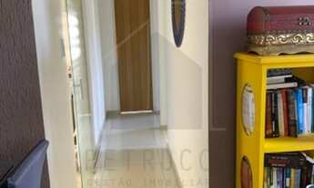 Imagem 4: Apartamento - Jardim Anchieta - Campinas