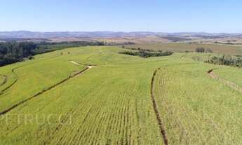 Imagem 2: Fazenda - Área Rural de Mogi Mirim - Mogi Mirim