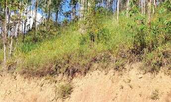 Imagem 4: Corretores e caloteiros nem percam o tempo!! Chácara Domingos M. 2,400 mtrs plator grande