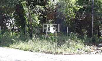 Imagem 2: Porto Alegre - Terreno Padrão - Bom Jesus