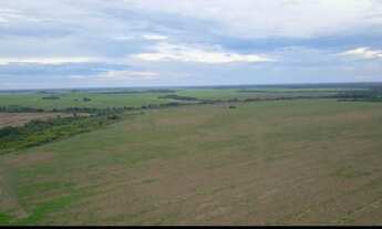 Imagem 7: Fazenda a venda em Confresa - MT