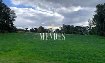 Imagem: CAXIAS DO SUL - Terreno Padrão - Monte