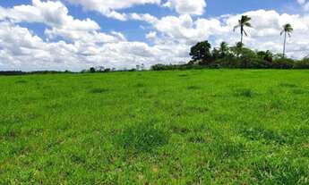 Imagem 6: Fazenda linda São Felipe 305 tarefas Com Rio Cortando Clima solos Pecuária Porteira Fechad
