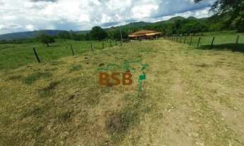 Imagem 6: Fazenda 34alq em Monte Alegre/GO - Pecuária e Piscicultura