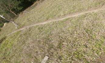 Imagem 7: Fazenda 10 hectares jardim ABC