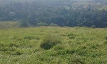 Imagem: V03-Invista em terra e valorize seu dinheiro