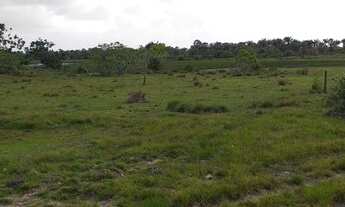 Imagem: Sítios em barreirinhas 5.000 mt2 parcelados