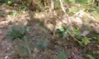 Imagem 2: VENDO CHÁCARAS PARCELADAS PX A COCALZINHO GO