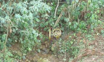 Imagem 3: Área rural à venda, Centro, Gonçalves-MG