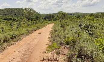 Imagem 3: Fazenda em Ponte Alta